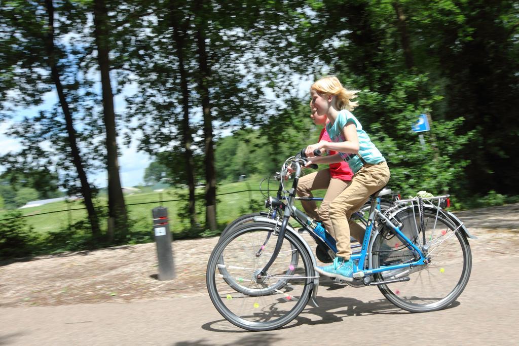 Natuurpark De Witte Bergen 호텔 Rouveen 객실 사진