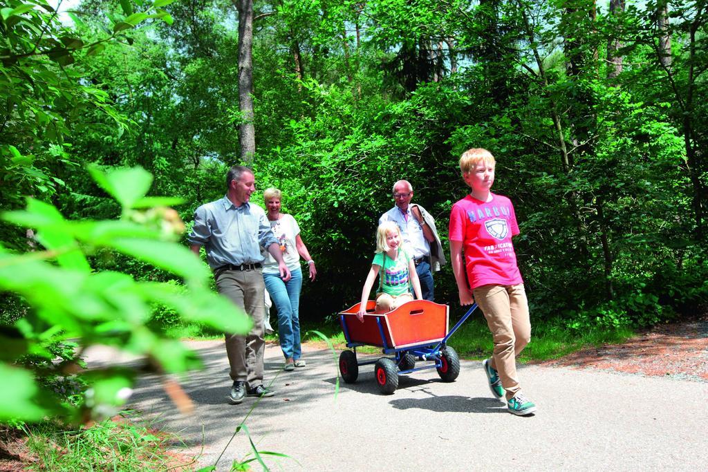 Natuurpark De Witte Bergen 호텔 Rouveen 객실 사진