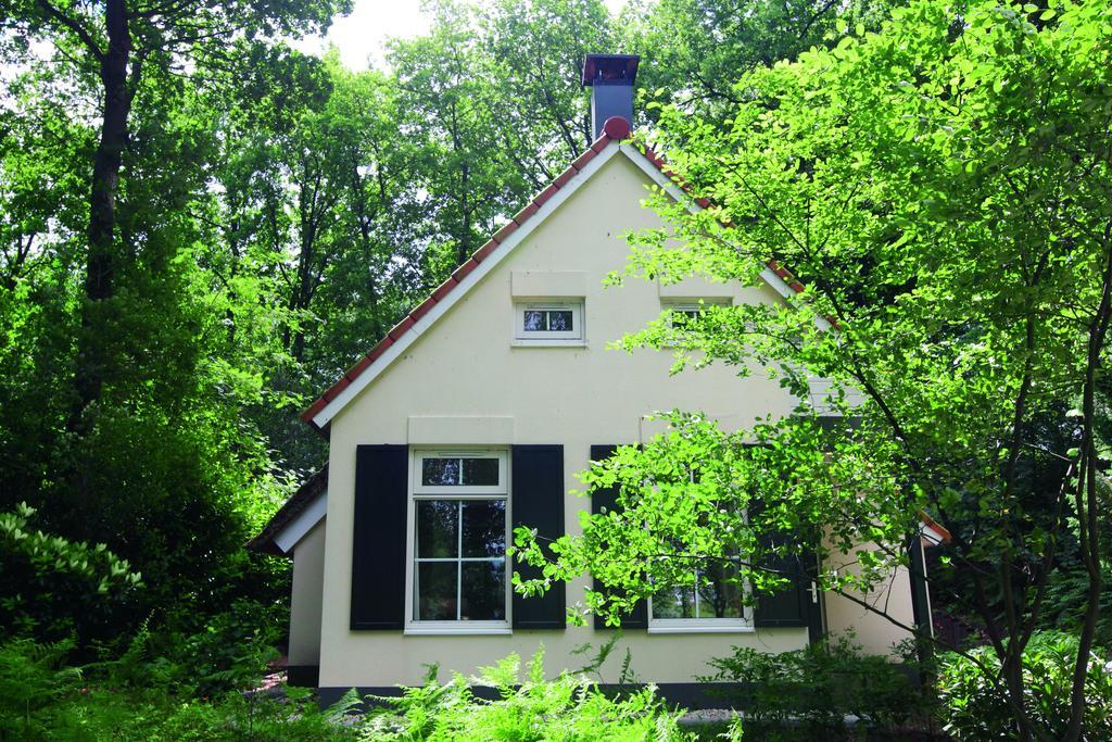 Natuurpark De Witte Bergen 호텔 Rouveen 객실 사진